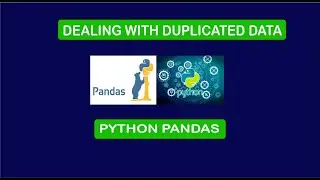 Python Pandas : Dealing With Duplicated Data