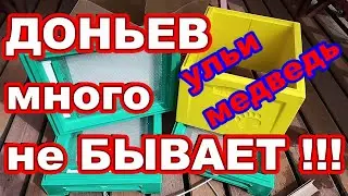 Донья УЛЬЕВ МЕДВЕДЬ с ОЗОН ! ДОНЬЕВ для ульев много НЕ БЫВАЕТ ! ППУ ульи медведь !