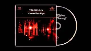 Vérzivatar - Never Again [2013]