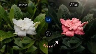 Moody Flower Mobile editing tutorial | Lightroom color grading | Lens Distortions