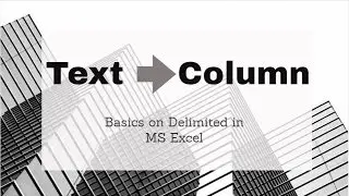 Text to Columns in Excel | Basics on Delimited in MS Excel