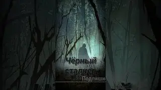 S.T.A.L.K.E.R - Чёрный Сталкер. Рассказчик Сидорович