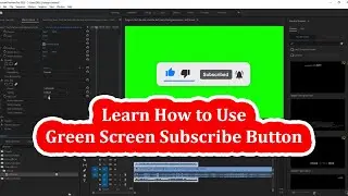 How to use Subscribe green screen button