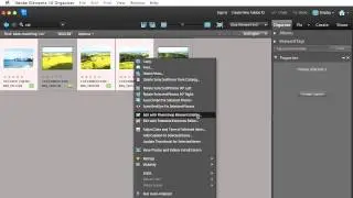 Opening Multiple RAW Files Simultaneously in Photoshop Elements 10