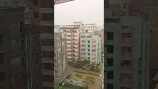 মনের কষ্টে ছাদে গিয়ে ভিজলাম। দেশে শান্তি চাই।