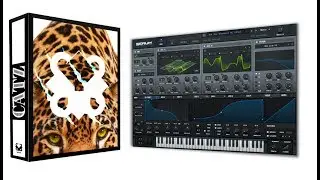 Big Catz for Xfer Serum - Video Demo