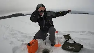 Новогодняя рыбалка в Выборгском заливе. Соколинское