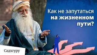 Если вы поймете это, вам станет легче жить