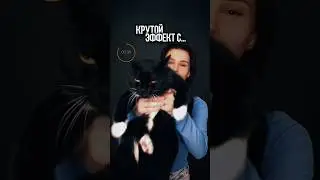 🛑Как я делала эффект с кошкой🐈‍⬛ #видеомонтаж #съемканателефон #туториал