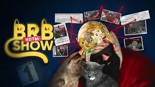 Big Russian Boss Show. Коты #1. Серега