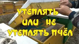 УТЕПЛЯТЬ ИЛИ НЕ УТЕПЛЯТЬ ПЧЁЛ