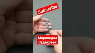 Маропедка Судаковая 60мм своими руками ✋