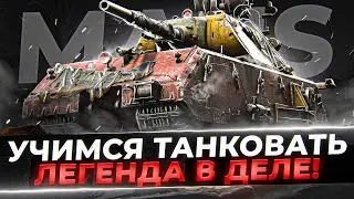 ВЕЧЕРНЕЕ ТАНКОВАНИЕ! КАК ПОЖИВАЕТ MAUS В НЫНЕШНЕМ РАНДОМЕ?