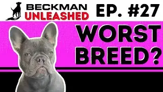 Do NOT Buy this Breed Right Now! New Merch!!!  Whats Joels Problem with Do Gooders? Ep.27