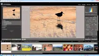 How to Create and Manage Develop Presets in Lightroom 3