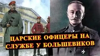Сколько БЫВШИХ ОФИЦЕРОВ оказалось у КРАСНЫХ?