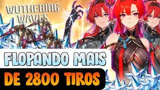 DEI QUASE 3000 TIROS NO BANNER DA YINLIN NO WUTHERING WAVES