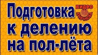 Подготовка  к делению на пол-лёта