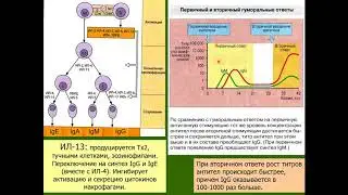 Дубынин В. А. - Физиология иммунитета - Вакцины и сыворотки. Иммунологическая недостаточность