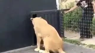 Дуст дусташро мешиносад
