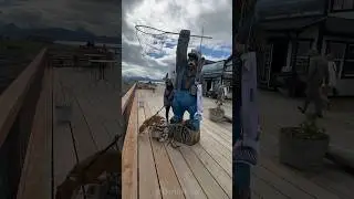 Exploring Homer Alaska's Iconic Boardwalk! This Charming Wooden Pathway has Witnessed Many Memories.