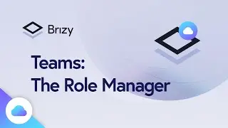 Brizy CLOUD: Teams Role Manager & Dashboard Deep Dive