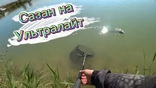 Сазан на ультралайт #top #рыбалка #2023 #карп #ультралайт #1k #спиннинг #fishing