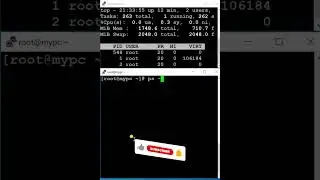 How to Find 🤩 Process ID of a Command Running in the Server 🔥 