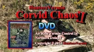 Corvid Chaos 2 DVD Air Rifle Hunting In Northern Ireland By HuntersVermin