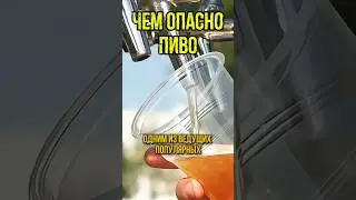 Почему опасно пить пиво