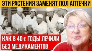 ЭТИ РАСТЕНИЯ ЗАМЕНЯТ ПОЛ АПТЕЧКИ