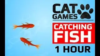 CAT GAMES - 🐟 CATCHING FISH 1 HOUR VERSION (VIDEOS FOR CATS TO WATCH)