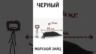 Как вам слизень Черный Морской Заяц ? 