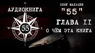 Книга «55» - аудиокнига | Глава 11/12 - О чём эта книга | Олег Мальцев
