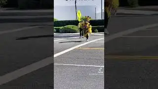 Springtrap and Nightmare Fredbear cross the Street ( FNAF Cosplay )