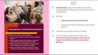 Family Therapy for Schizophrenia | AO1 (A Level Psychology Revision)