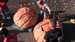 2011 - Great Pumpkin Drop - Utah Giant Pumpkin Growers