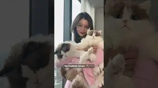 Yeni kedi kutu açılımı🐱