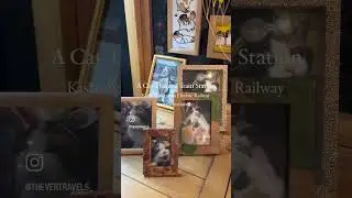Japan’s Cat Themed Train Station | Kishi Wakayama Electric Railway