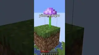 Minecraft'ta Çiçeklerden Nefret Ediyorum. ⛏💎