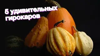 5 удивительных гирокаров