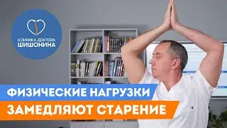 Физические нагрузки замедляют старение: доктор Шишонин в интервью для канала «Долго и счастливо» 😌🩺