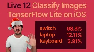 Live 12 · Image Classification on iOS with TensorFlow Lite