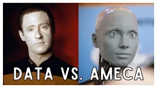 The Reality of AI Sentience Explored