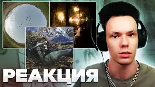 Реакция на Oxxxymiron*, ooes - Журавли, PHARAOH, Destroy Lonely - OMEGA, Джарахов - Пасмурно