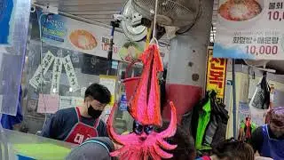 연안오징어 회를 주문하니 몸통 포를 뜨서 썰어주네요....