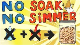 No Soak No Simmer (NSNS) Easy Grain Tek for Millet/Oats/Bird Seeds