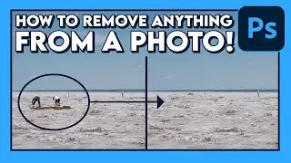 How to REMOVE ANYTHING From a Photo! (Tutorial) / Adobe Photoshop