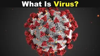 What Is Virus? | Type of viruses (Urdu/Hindi)