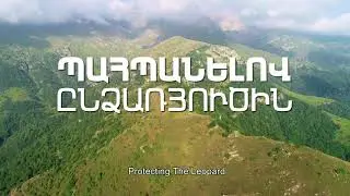 Պահպանելով ընձառյուծին / Protecting the Leopard